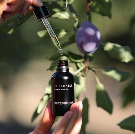 Le prunier plum beauty oil. Things To Know About Le prunier plum beauty oil. 